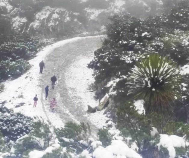 Por frente frío baja la temperatura y cae nieve Por frente frío baja la temperatura y cae nieve