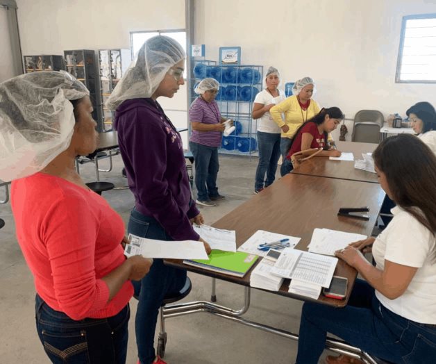 Fomentan la actividad productiva