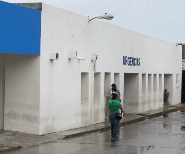 Empleado municipal atacado por arácnido