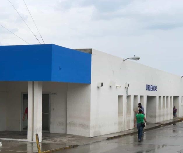 Empleado municipal atacado por arácnido