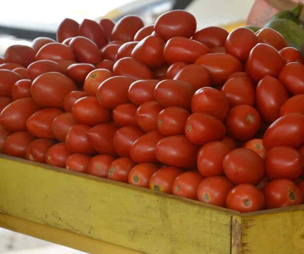 Casi a 50 pesos kilo de tomate