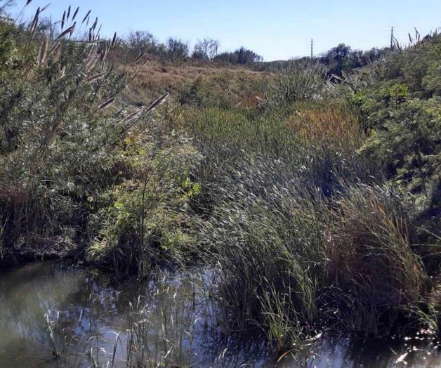 Abandonan drenes sin hacer desazolve Abandonan drenes sin hacer desazolve