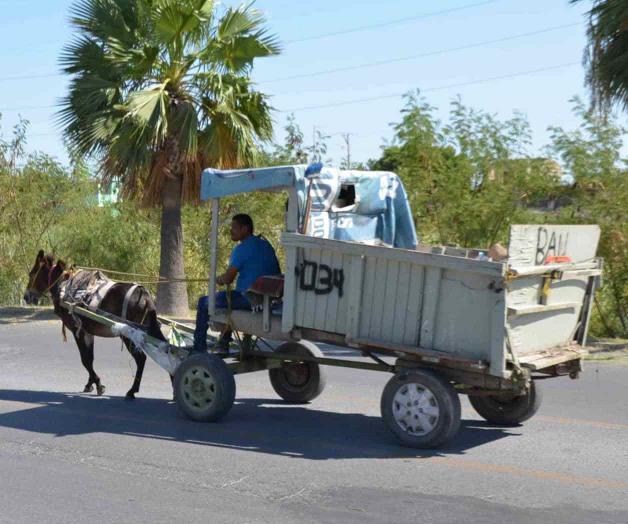 Aunque prohibidos, siguen carretoneros Aunque prohibidos, siguen carretoneros