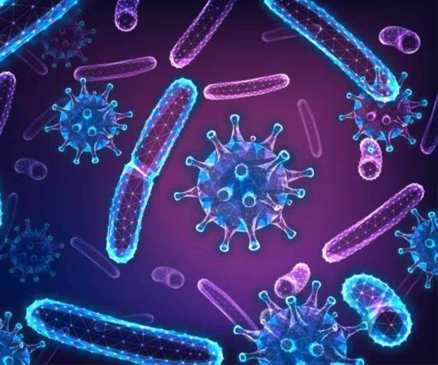 Descubre qué son las bacterias benéficas y qué alimentos las tienen