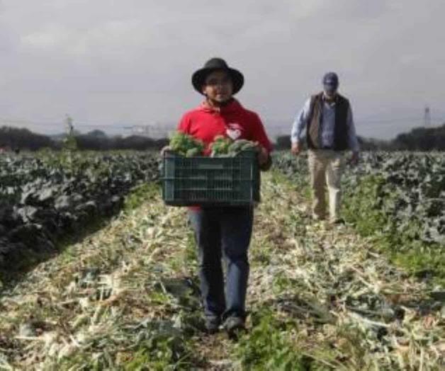 Piden obreros y campesinos diálogo con AMLO