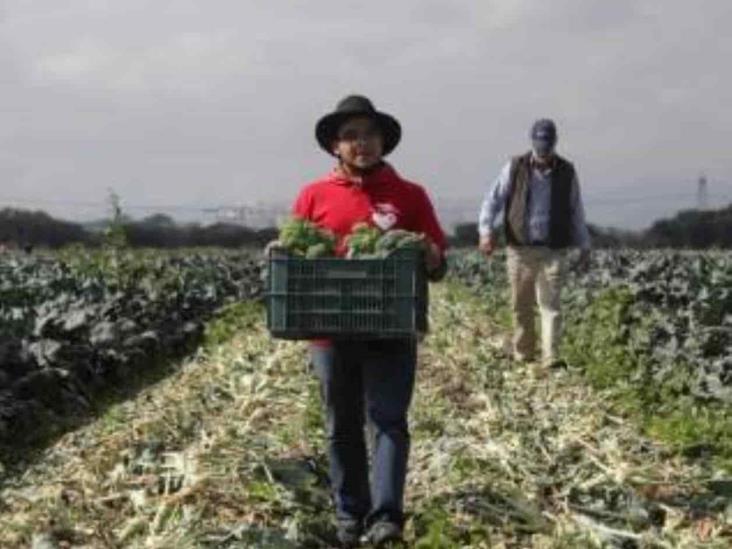 Piden obreros y campesinos diálogo con AMLO Piden obreros y campesinos diálogo con AMLO