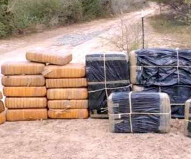 Decomisan 450 mil dólares en mariguana