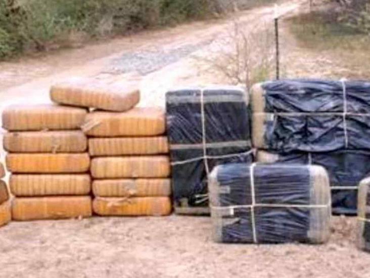 Decomisan 450 mil dólares en mariguana Decomisan 450 mil dólares en mariguana