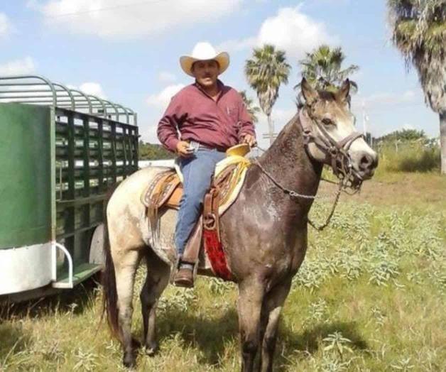 Rebrote de pasto con lluvias puede causar muertes en el ganado