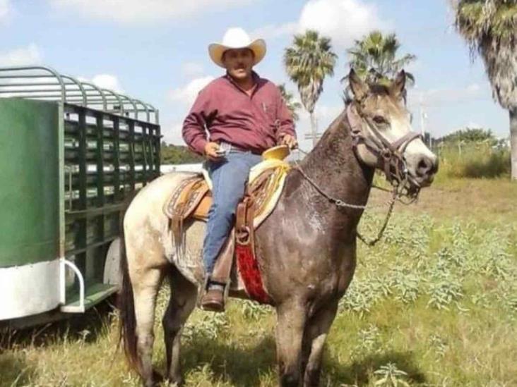 Rebrote de pasto con lluvias puede causar muertes en el ganado Rebrote de pasto con lluvias puede causar muertes en el ganado