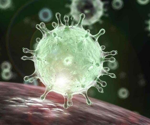 Sin confirmarse aún casos sospechosos de coronavirus en México