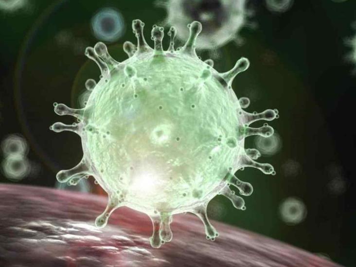Sin confirmarse aún casos sospechosos de coronavirus en México Sin confirmarse aún casos sospechosos de coronavirus en México