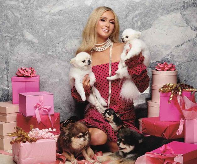 Desnuda su esencia Desnuda su esencia