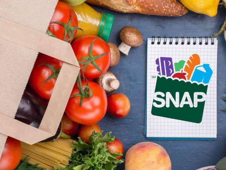 Investigan el uso indebido del SNAP Investigan el uso indebido del SNAP