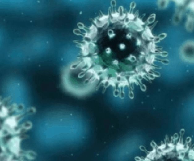 OMS califica coronavirus de Wuhan como patógeno de alto riesgo mundial