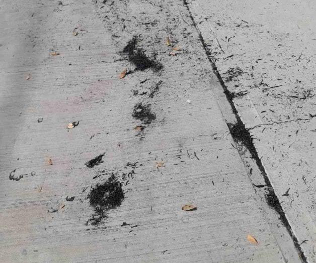 Rastros de quema de caña en el Valle