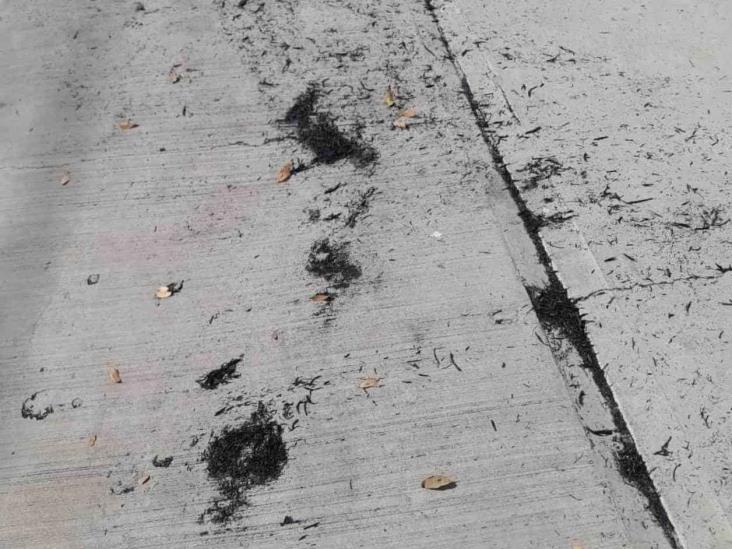 Rastros de quema de caña en el Valle Rastros de quema de caña en el Valle