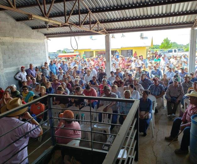 Aceleran entrega de apoyos a productores