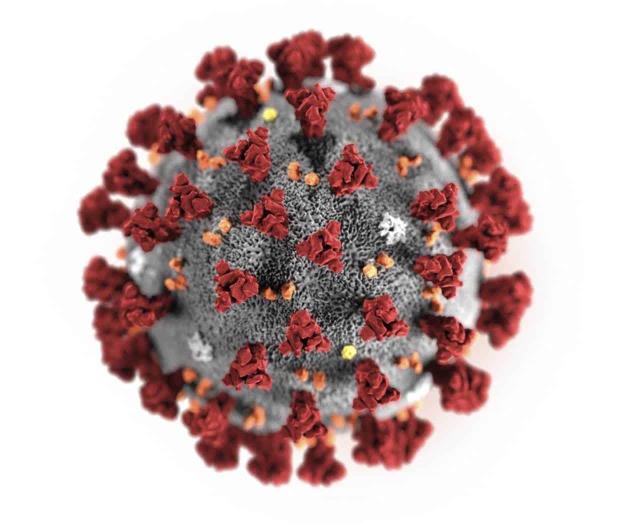 Reporta EUA primer caso de coronavirus de persona a persona