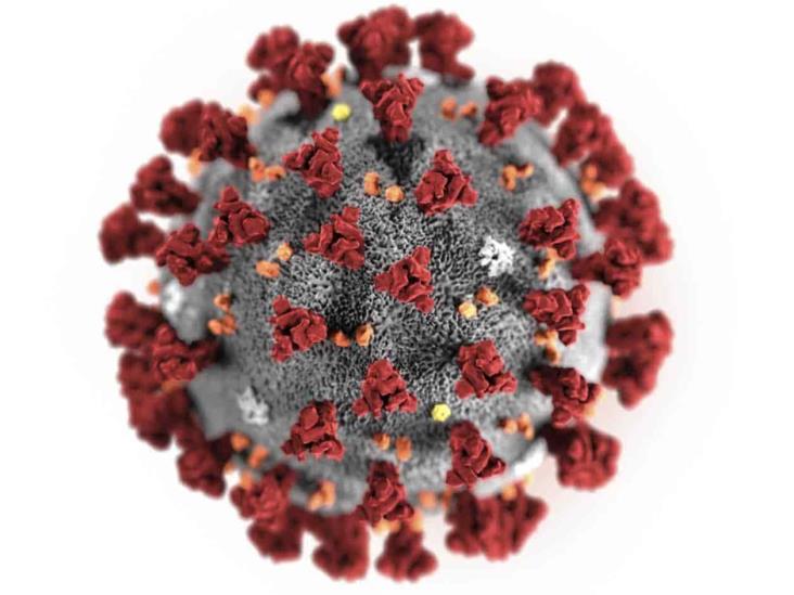 Reporta EUA primer caso de coronavirus de persona a persona Reporta EUA primer caso de coronavirus de persona a persona