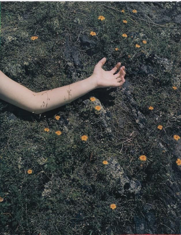 Manuel Álvarez Bravo: Cuando la realidad se encontró con el color