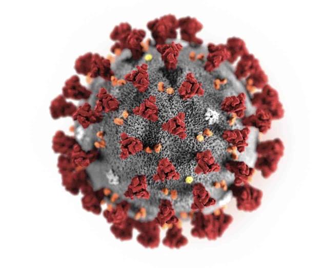 Reporta EU primer caso de persona a persona