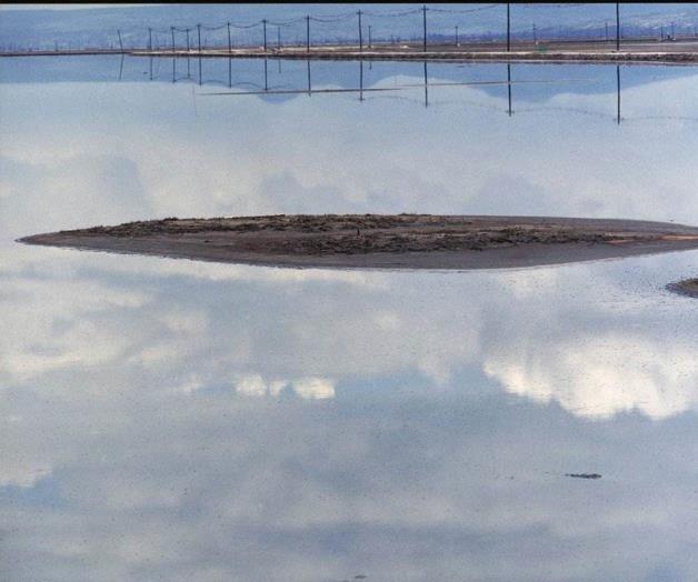 Manuel Álvarez Bravo: Cuando la realidad se encontró con el color