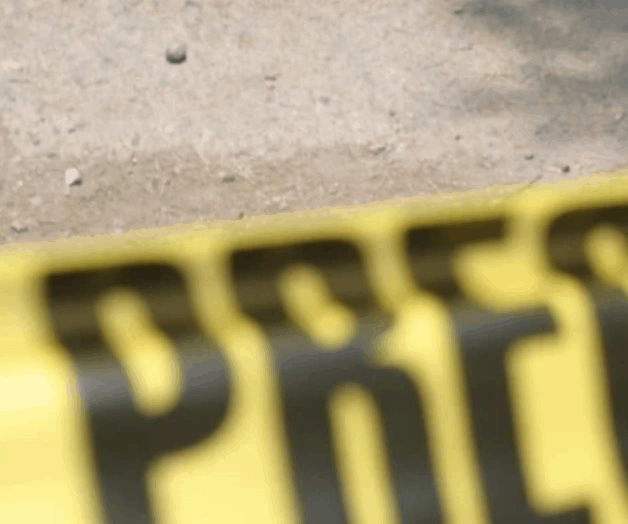 Confirman muerte de Homero Gómez, defensor de la mariposa monarca Confirman muerte de Homero Gómez, defensor de la mariposa monarca