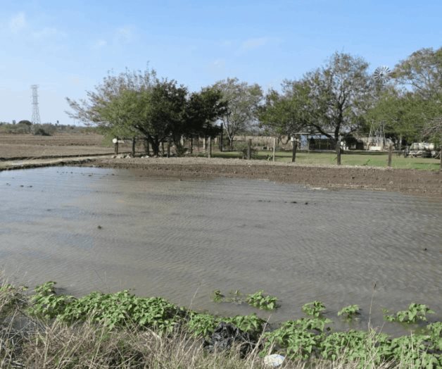 Prometen no desfogar presa hacia el Bravo