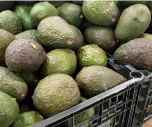 ¡Sale caro comer guacamole! ¡Sale caro comer guacamole!