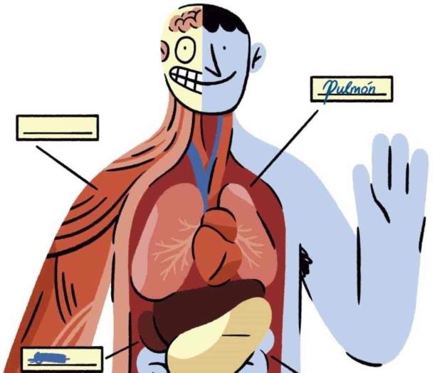 Viaje al interior del cuerpo humano con Bill Bryson Viaje al interior del cuerpo humano con Bill Bryson