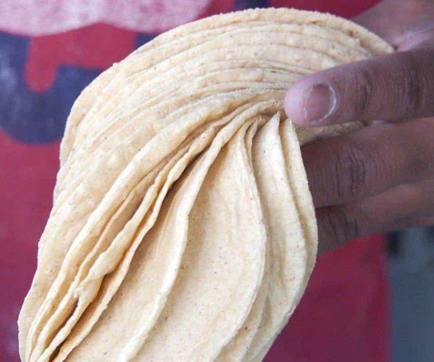 No hay justificación para aumentar tortilla: Profeco