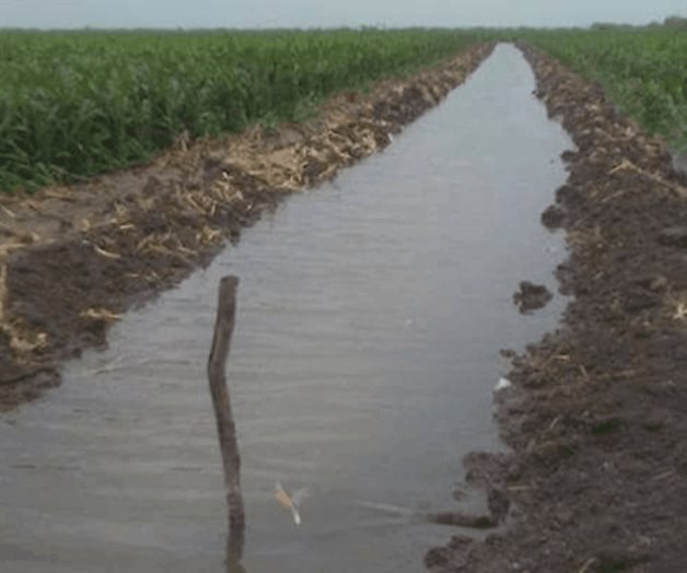 Avance de riegos a pasos gigantes