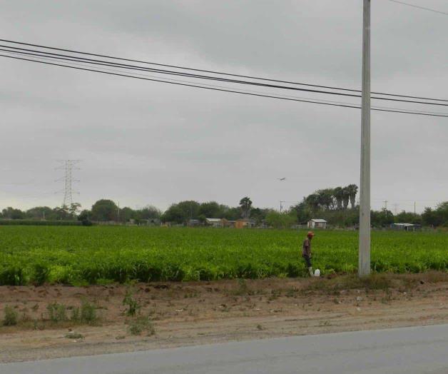 Nuevas reglas de operación Nuevas reglas de operación