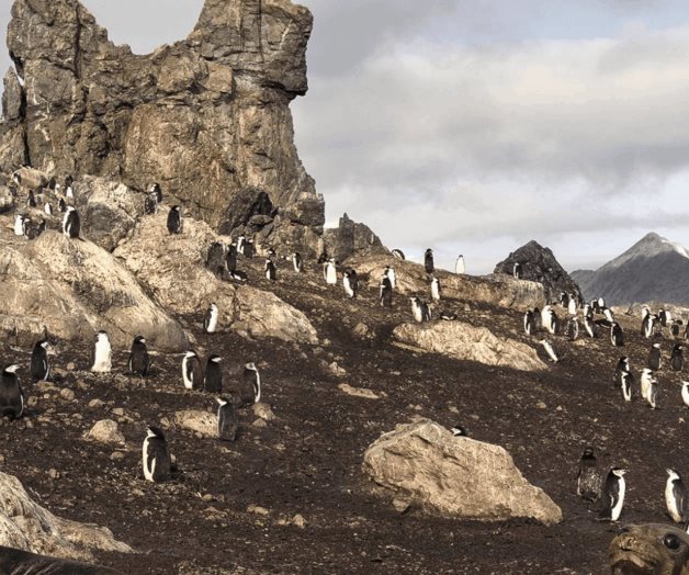 Misión en la Antártida: salvar la Tierra Misión en la Antártida: salvar la Tierra