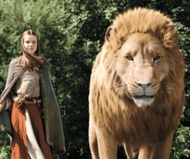 Se visualiza una serie