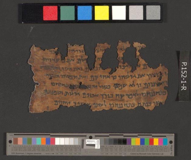 La piel de los corderos ayuda a resolver el puzle de los Manuscritos del Mar Muerto