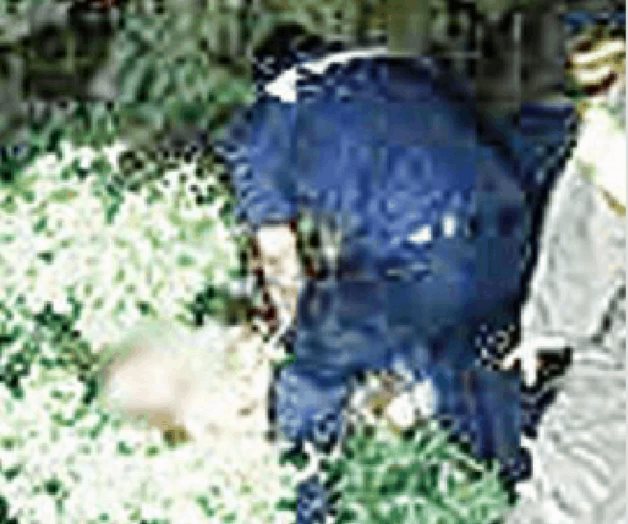 Vuelca, sale expulsado y cae entre matorrales