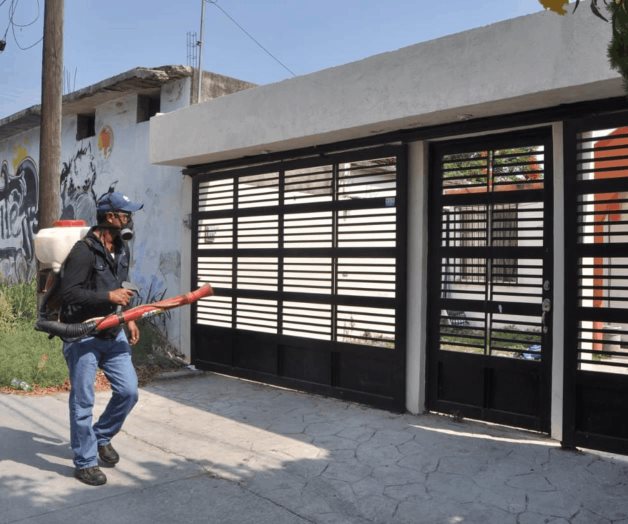 Aumentan a 69 casos de dengue Aumentan a 69 casos de dengue