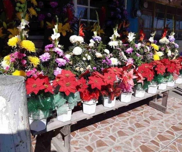 Ni la nueva normalidad salva a los negocios Ni la nueva normalidad salva a los negocios