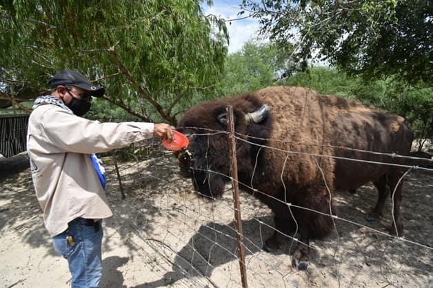 Lanza S.O.S zoológico reynosense