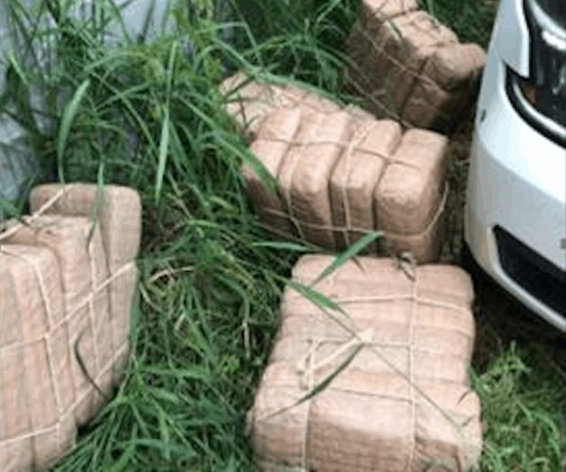 Decomisa la PF 345 libras de mariguana