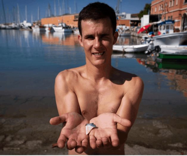 El colmillo que delató al gran tiburón blanco de Mallorca