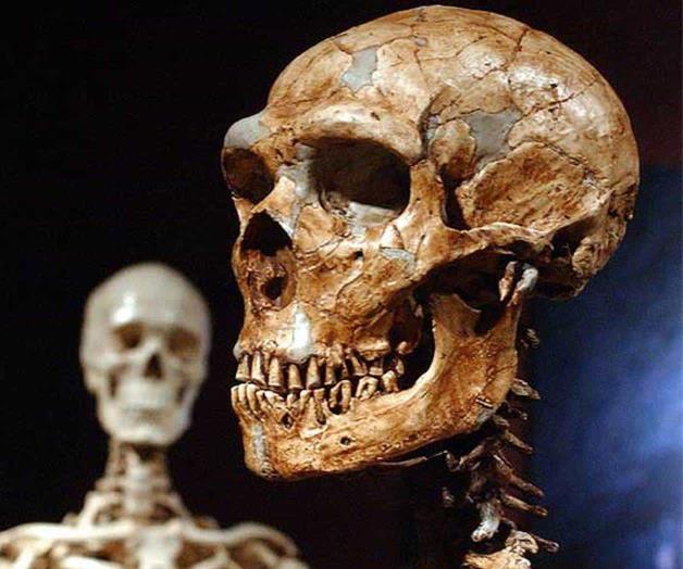 ¿Cómo sabemos que los humanos actuales tenemos genes neandertales?