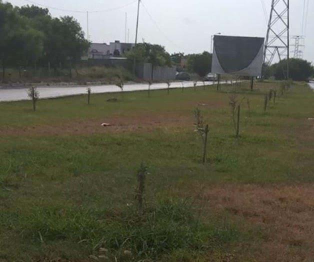Preservan las áreas verdes del municipio