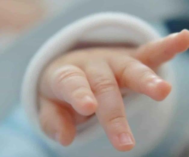 Fallece recién nacida abandonada en un hormiguero en Guanajuato