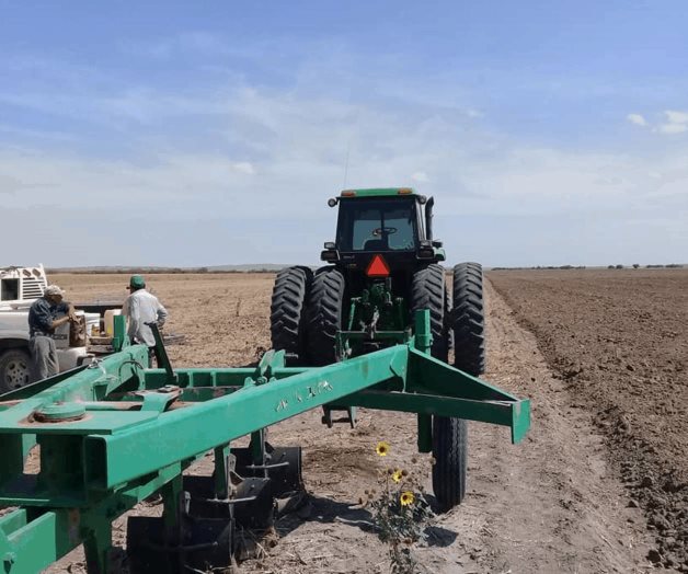 Beneficia ‘Hanna’ al campo tamaulipeco