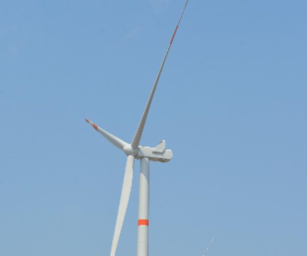 Todos a salvo: parques eólicos sin afectaciones