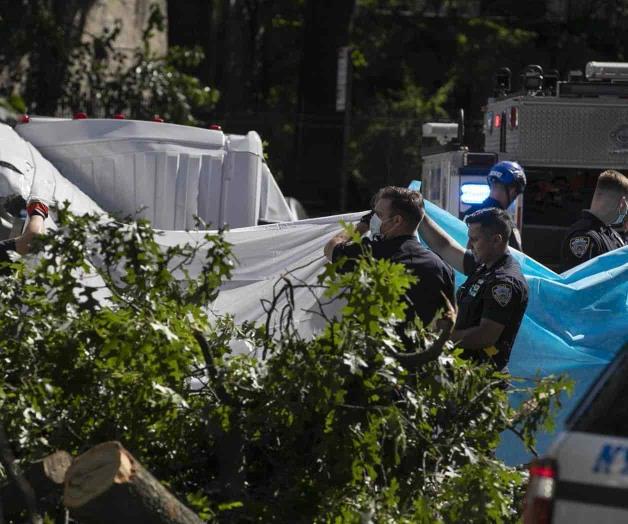 Azota Isaías costa de EU: 6 muertos