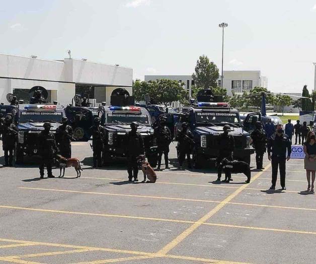 Gopes han participado ya en combate al crimen